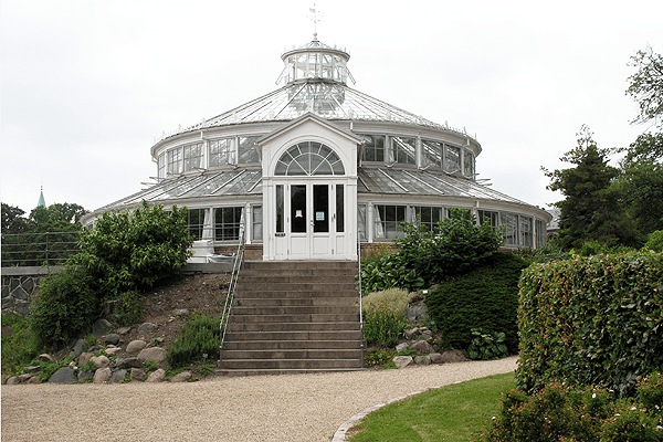 Greenhouse at the Botanic Gardens, University of Copenhagen