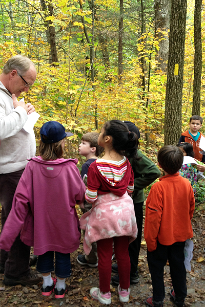 Nature Walk in Acton