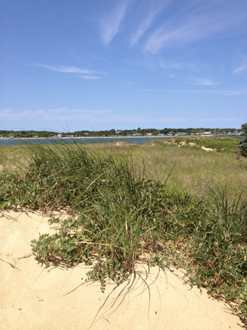 Wellfleet Beach