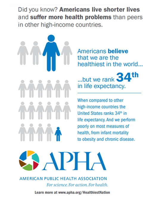 American Public Health Association