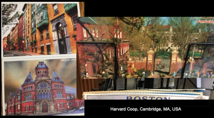 Screen Shot 2019-03-29 at 3.46.57 PM