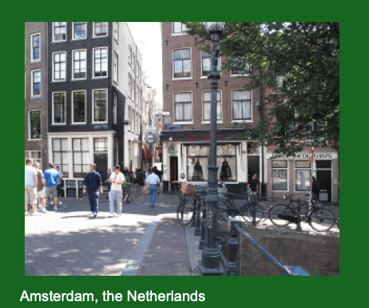 Screen Shot 2019-06-05 at 11.47.30 AM